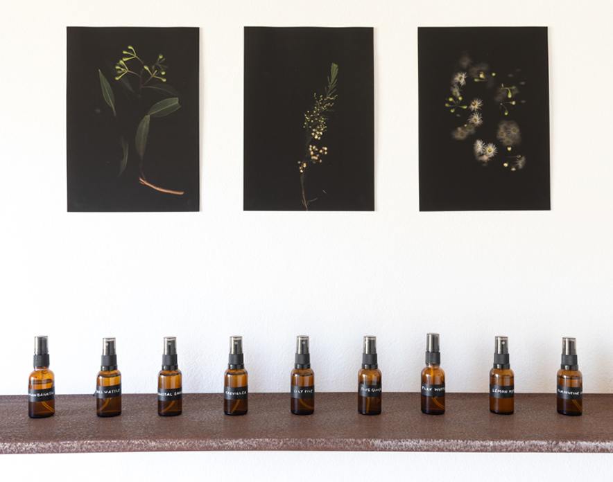 A range of distilled plant materials in small viles sit below three dark prints of native flowers set in front of dark black backrgounds
