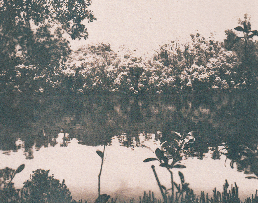 a close up image depicting a contaminated body of water - exhibition print made by artist Norton Fredericks