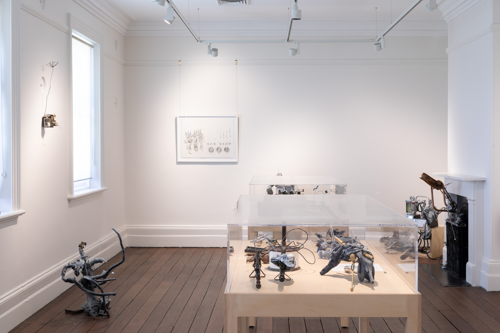 An installation view of the atlas gallery at the La Perouse Museum including an installation by the artist Jack Stahel