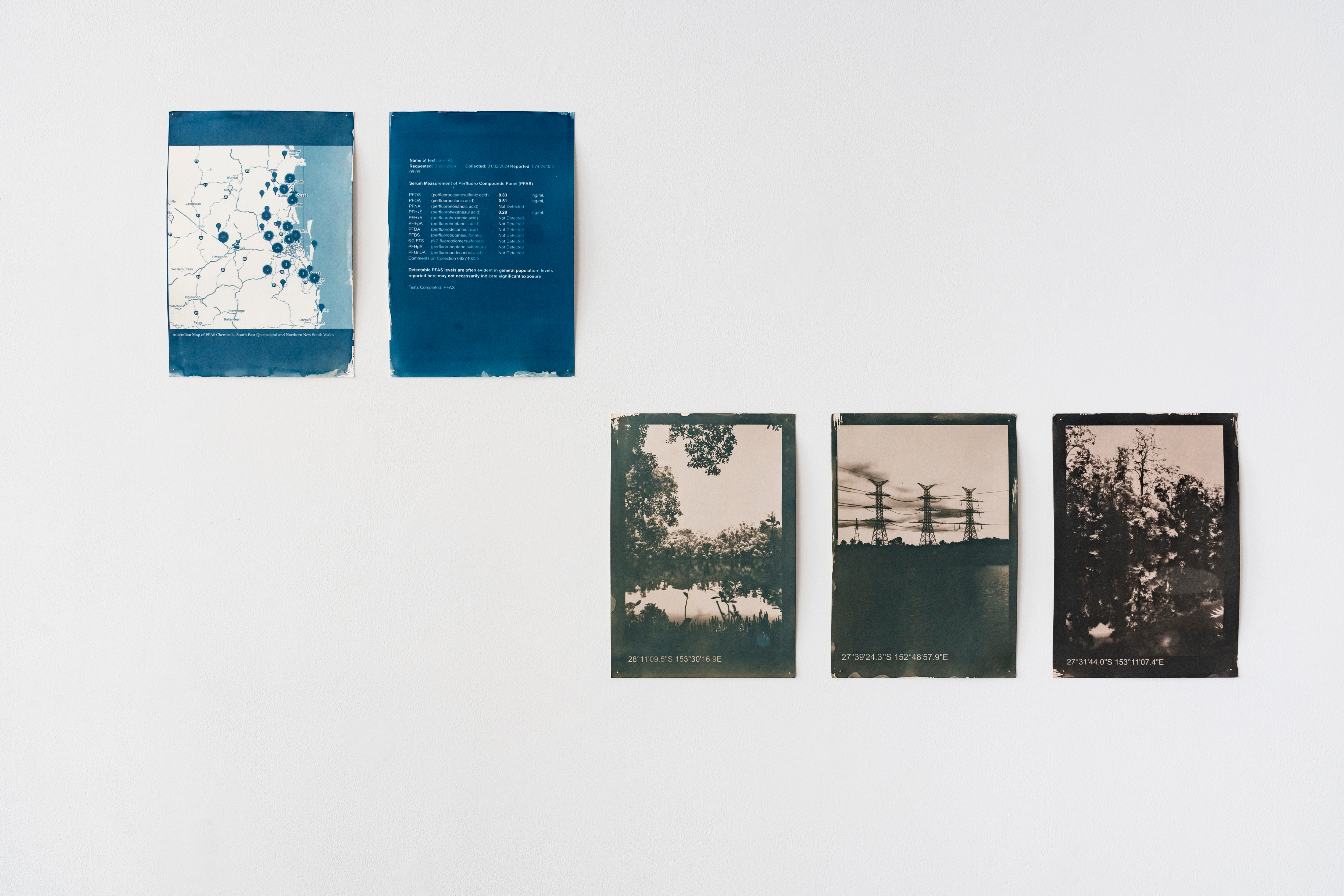 A installation image of the artwork of Norton Fredericks who has used cyanotype printing to make these images