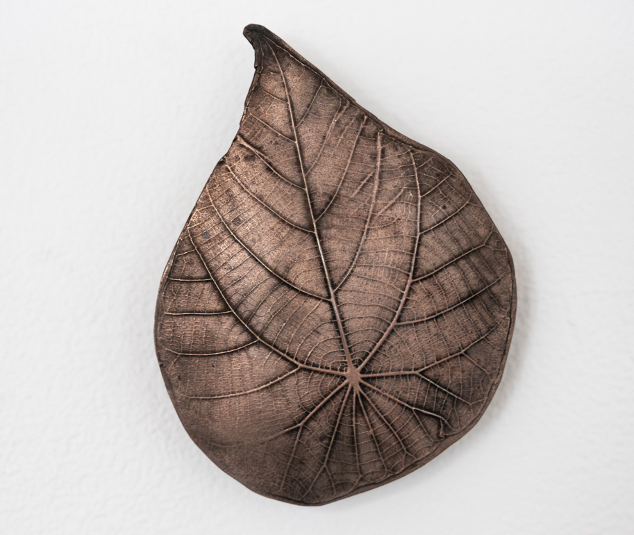 An image of a leaf